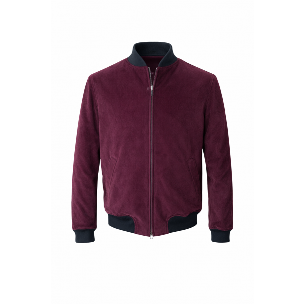 Bordowa męska bomberka ze sztruksu marki Van Thorn na białym tle – widok z przodu.